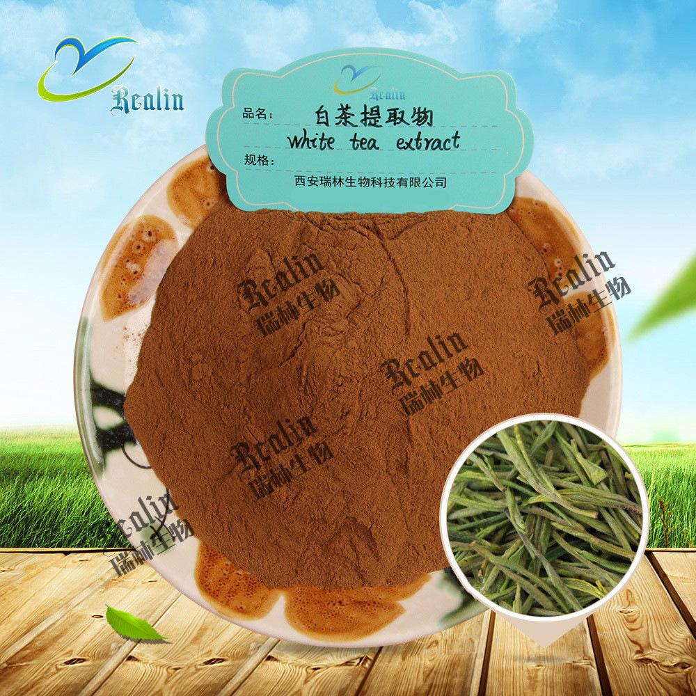 白茶提取物1