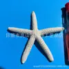 Atacado de Ouriços-do-mar, Estrelas-do-mar Naturais, Estrelas-do-mar Reais, Estrelas-do-mar Bun, Estrelas-do-mar Dedo, Estrelas-do-mar Dedo Planas, Artesanato Decorativo Infantil