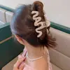 Nuevo Pasador de Pelo de Acrílico con Forma de Ola de Verano para Mujer, Pasador para la Parte Trasera de la Cabeza, Pinza de Tiburón, Pasador 2026 Accesorio de Pelo de Alta Gama