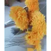 Folhas de Lírio-do-Vale de Crochê, Porta-Flores de Não-Me-Esqueças de Lã, Cravos Prontos, Tulipas, Rosas, Não-Me-Esqueças, Girassóis, Rosas