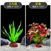 Plantas de Acuario, Decoraciones de Paisajismo con Césped Real, Plantas Aptas para Principiantes, Crisantemo Verde Ciempiés, Plantas de Sombra, Piedra Volcánica, Plantas Verdes Purificadoras de Agua
