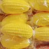 Juguete Squishy de Maíz Simulado para Alivio del Estrés, Versión TikTok, Nuevo Juguete de Rebote para Niños, Fabricante Mayorista