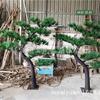 Parque de Atracciones Park Square Pino Artificial de Fibra de Vidrio Árbol de Pino Artificial Grande Decoración de Paisajismo para Restaurante Pino Falso