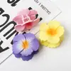 Yhj Accesorios para el Cabello Estilo Nuevo Pequeño Fresco y Dulce Color Caramelo Flor Enrollada Pinza Pinza para el Cabello Pinza Tiburón para el Cabello