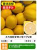Dropshipping Perfume Limonero Plántula Árbol Frutal en Maceta Plántula Norte y Sur Interior Patio Preciosa Plantación de Cuatro Estaciones