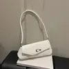 Bolso Femenino de Moda y Lujoso, Nuevo Bolso Baguette de Gama Alta, Bolso de Hombro/Axila Retro Simple Versátil de Nicho