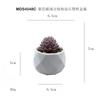 Simulação carnuda reunindo roxo chihuahua vasos enfeites de mesa presente pequeno bonsai verde TEMU simulação planta