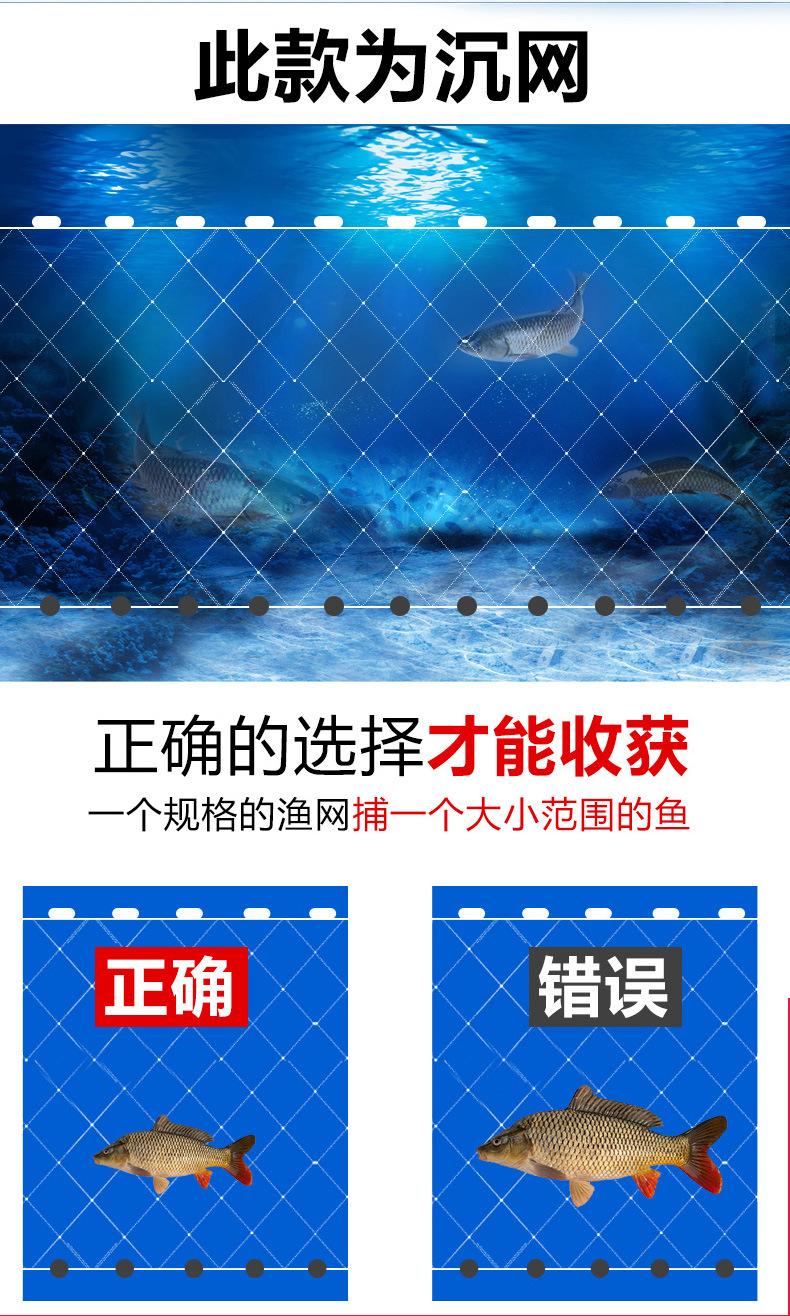 粘网_13.jpg