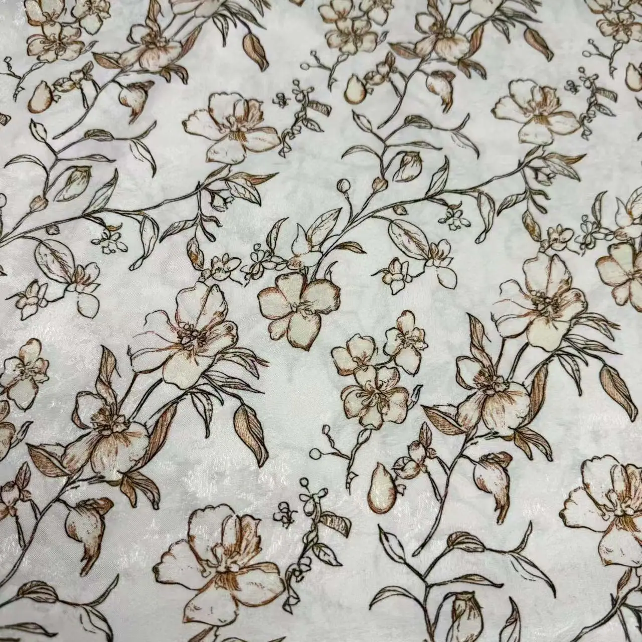 微信图片_20260102154558_2196_2