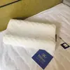Venta al por mayor del fabricante Almohadas de Gránulos de Látex para Regalos, Se Pueden Imprimir con Logo, Compra Grupal Almohadas de Látex, Almohadas de Soporte para el Cuello, Dropshipping Disponible