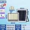 Luz Solar Azul Sueño Transfronteriza Luz de Jardín Exterior Super Brillante Alta Potencia Luz de Inundación Fábrica Fuente de Comercio Exterior Luz Fuerte