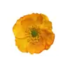 Cabeças de flores de papoula pequenas artificiais materiais para grampo de cabelo de margarida DIY arranjo de flores decorações para fotografia em casa