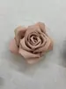 Halina Estilo Francés Elegante Rosa Primavera y Verano 2024 Pinza para el Cabello de Rosa Pétalo Accesorios para el Cabello Accesorios para el Cabello de Mujer
