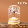 Árvore da Fortuna de Cristal Natural com Tampa de Vidro, Árvore dos Desejos, Micro-Paisagem Criativa, Decoração de Mesa para Casa, Paisagismo Decorativo