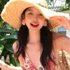 Pendientes Florales de Gasa Hilo de Plata, Simples y de Moda, Estilo Súper Hada, Pendientes para Vacaciones Estilo Infantil para Mujer, Dulces y Versátiles Accesorios para Orejas