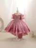 2026 Novo Modelo Vestido Longo Infantil para Daminha Vestido de Princesa Tule Bufante Vestido para Apresentação de Anfitriã Infantil Roupa para Performance de Piano