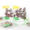 Serie de frutas confitadas Shen Xiaohan bolsa completa 2.50kg al por mayor ciruela/pato mandarín media ciruela/ciruela de anciana/cáscara de mandarina yanjin/ébano