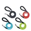 Correa para Mascotas, Antiperdida, Desmontable, Cómoda, Cuerda Reflectante, Cadena para Perro, Antiescape, Cuerda para Pasear Perros, Protección contra el Calor del Verano