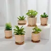 Línea Mini de Empaque para Pedidos por Correo Exportación Rayas Quemadas Lisas Maceta Pequeña de Porcelana Blanca Flor Carnosa con Base de Bambú