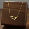 Comercio Exterior de Amazon Venta Caliente Collar de Acero de Titanio Temperamento Femenino Circonita Microincrustada Personalidad Cadena para Clavícula de Alto Sentido Colección Joyería