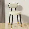 Taburete de tocador para celebridad de internet silla de comedor silla de maquillaje para dormitorio niña alta apariencia estilo ins dormitorio uso doméstico engrosado 2026