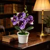 Orquídea artificial de alta gama, minimalista, en maceta, con cuatro flores en una maceta poco profunda, adecuada para la sala de estar, el recibidor o la decoración de escritorio.
