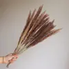 Pinha Flores Secas Artesanais Adereços de Fotografia Materiais Florais DIY Decorações para Sala de Estar Presentes de Natal