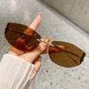 Gafas de sol ojo de gato de moda oceánicas nuevas gafas de sol con ribete de metal con cabeza de leopardo gafas curvas transfronterizas