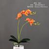 Perfume Tropical Orquídea Borboleta com Folhas, Flor Artificial Fotografia de Casamento, Enfeites de Decoração Suave para Engenharia Residencial, Flores Artificiais