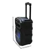 Microfone com Fio para Karaoke de Comércio Exterior Bt-2081 Alto-falante Bluetooth Sem Fio de 8 polegadas Portátil para Exterior Grande