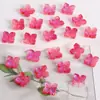 Flor Miniatura de Cinco Pétalas com Bordas Esmaltadas, Base de Flor de Ameixa 3D DIY Feita à Mão para Acessórios de Colares e Pulseiras