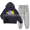 Traje Holgado y Cómodo de Comercio Exterior para Niños Medianos y Grandes, Conjunto de Dos Piezas de Sudadera con Capucha y Pantalones Deportivos de Algodón para Primavera y Otoño en Stock