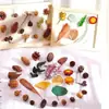 Pacote de Material de Flores Secas Espécime Jardim de Infância Casca de Fruta Caseira Flor Seca Bolota Porta-Retrato Espécime Pinha Porta-Retrato DIY Feito à Mão