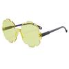 Nuevas Gafas Transfronterizas Gafas de Sol para Niños Venta al por Mayor Moda Ins Tendencia Irregular Flor de Neumático Gafas de Sol