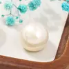 Pérolas de Imitação de Concha ABS de Fundo Plano de Cintura Alta 10-25mm, Pérolas Coloridas Multiespecificação para Acessórios de Brincos e Grampos de Cabelo DIY