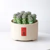 Conjunto fofo de plantas de interior para mesa para jardim de infância, fácil de cultivar e cuidar, pequenas plantas em vasos