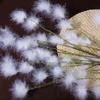 Flores Artificiales de Celebridad de Internet al por Mayor bajo la Luna Blancas para el Hogar Boda Paisajismo Diseño Floral Adornos Decorativos Flores Falsas Plumas Artificiales