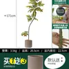 Habitat de folha de glicínia planta verde artificial alto padrão luxo leve interior sala de estar chão árvore falsa biônica planta em vaso