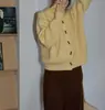 Suéter básico de gola alta amarelo estilo coreano Chao Chao para mulheres, malha casual quente de manga comprida outono/inverno 2026