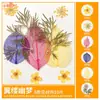 Paquete de Materiales DIY de Flores Secas Flores Prensadas Hechas a Mano Flores Conservadas Marcadores de Libros de Flores Prensadas Hojas de Árbol Real Plantas Pegatinas de Resina Maquillaje Facial
