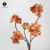 Venda Direta da Fábrica Flores Artificiais Lírio Clívia Galhos Decoração Adereços para Fotografia de Casamento Acessórios para Casa Design de Exibição