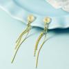 Aretes de Clip con Borla Larga Sin Agujeros en las Orejas para Mujer 2021 Nueva Moda Placa de Incienso de Mosquitos Sensación de Alta Gama Aretes de Clip