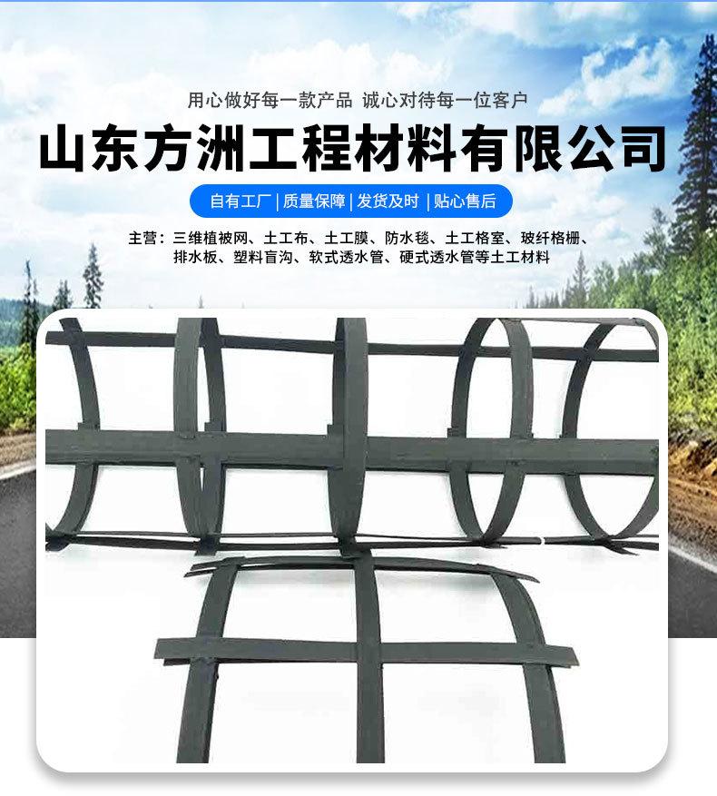 4钢塑土工格栅_01.jpg