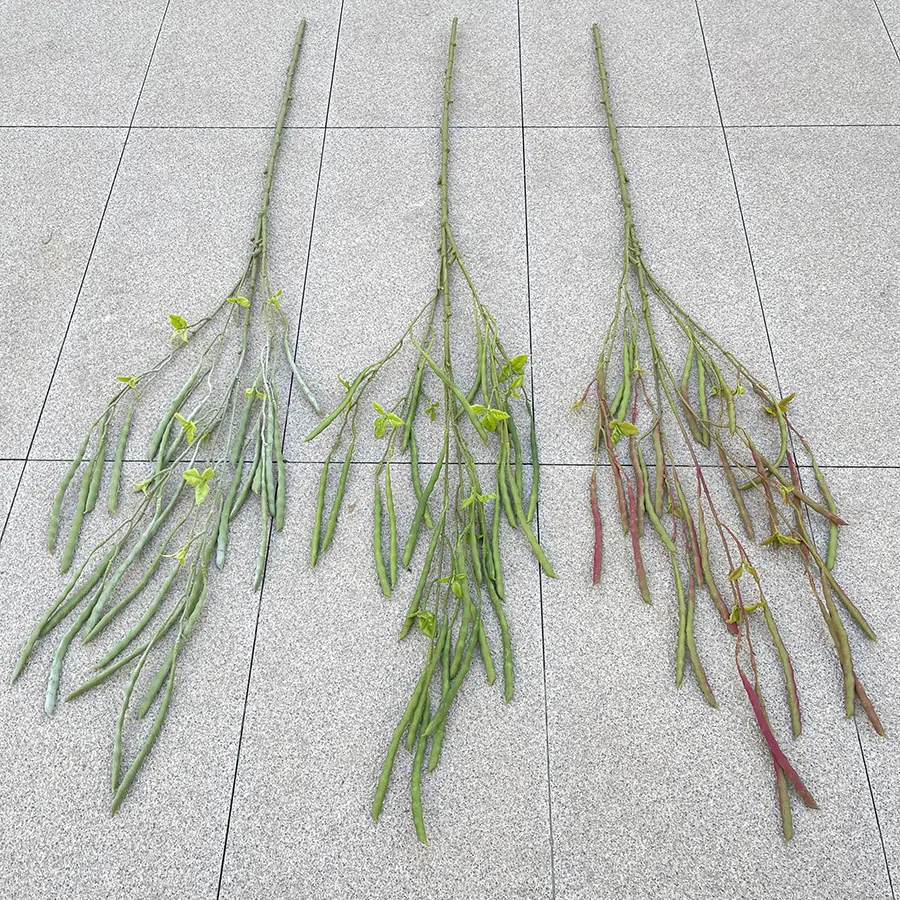 125cm7叉高品豆角 色卡 8元.JPG