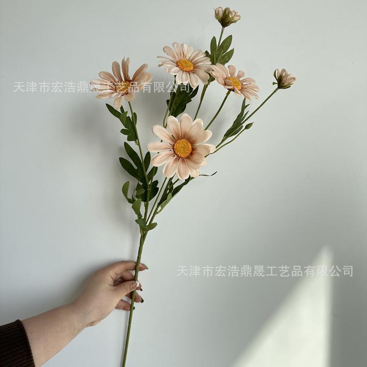 微信图片_202303151641298_副本