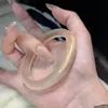 Pulsera dorada champán directa de fábrica, pulsera con efecto ojo de gato, tiembla, mejor vendida en el libro rojo, atracciones turísticas, venta al por mayor