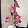 Orquídea Phalaenopsis Artificial de 5 Cabezas Decoración para el Hogar Arreglo de Flores Artificiales Boda Hotel Decoración Suave Flores Artificiales Envío Transfronterizo
