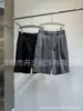 Shorts de Lana Nanyou Shenzhen para Mujer Primavera/Verano 2025 Nuevos Pantalones Casuales de Cinco Puntos con Pliegues de Cintura Alta