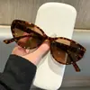 Gafas Retro Disco Personalizadas, Gafas de Marco Pequeño de Moda para Sesión de Fotos de Influencer Hip-Hop, Gafas de Sol, Gafas de Sol Ojo de Gato D