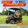 Fabricante Lugar Turístico Hotel de Vista Turística Servicio de Traslado Coche Eléctrico Turístico Fila Única Dos Asientos Carrito de Golf Eléctrico